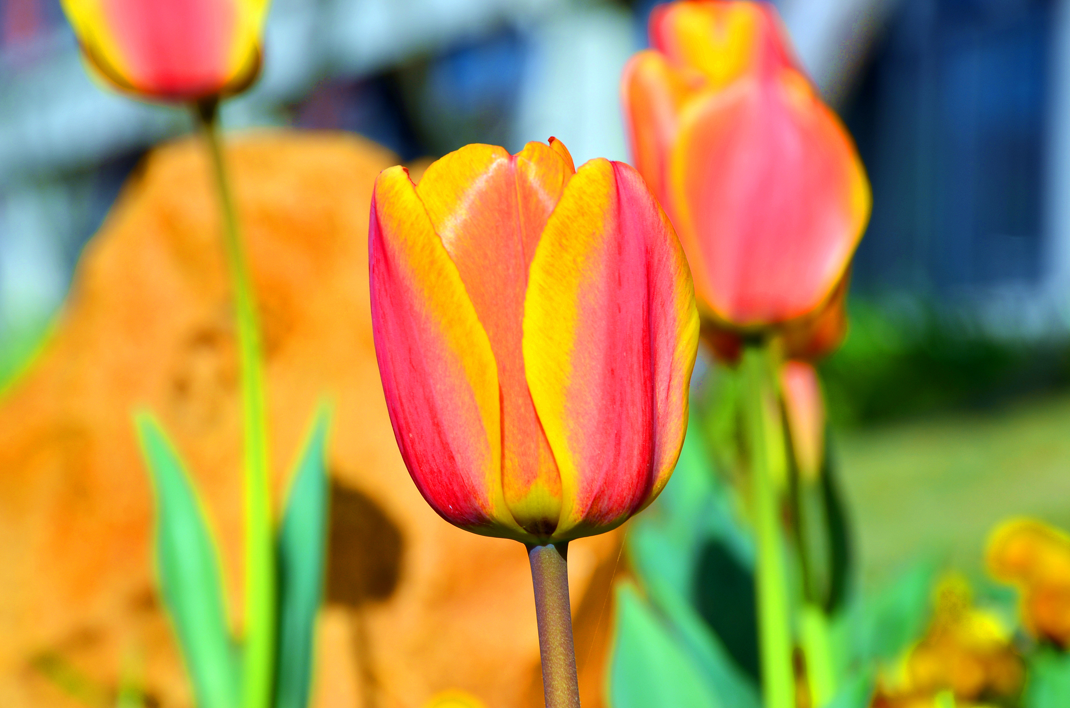 d7d572afdfed4829b8d0d8414a6ca7f6.jpg
